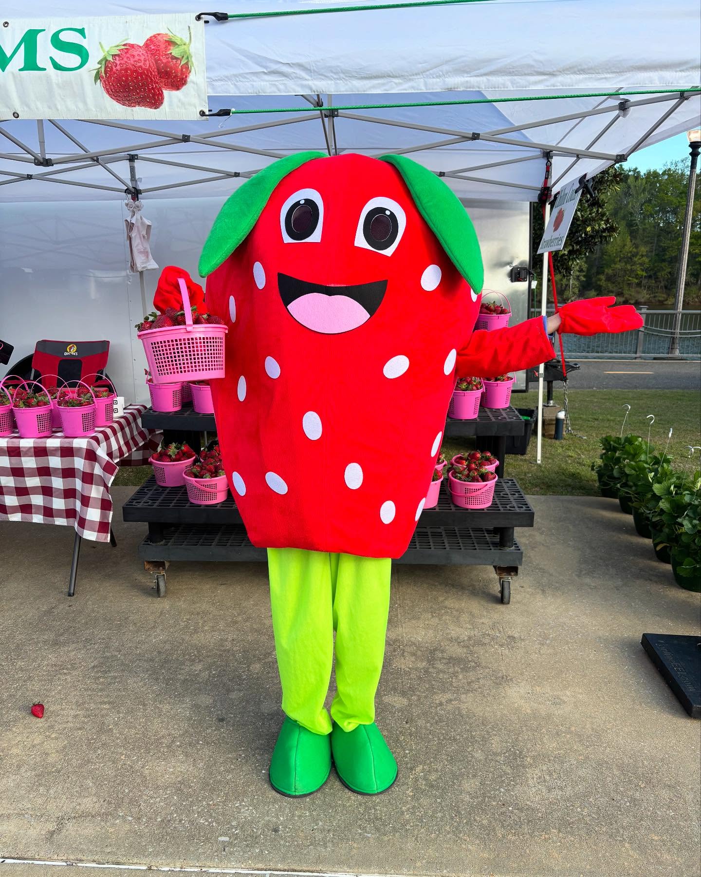 Farmers Market booth with Strawberry Mascot holding strawberries for sale.